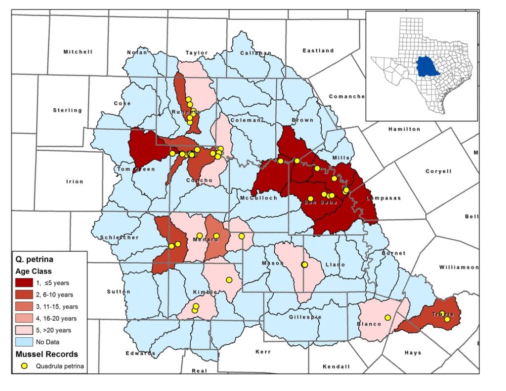 Example status assessment map for Texas pimpleback generated using the Conservation Status Map Package