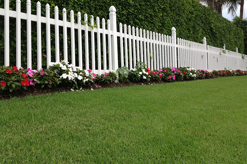 A healthy swath of zoysiagrass along a flower bed and white picket fence