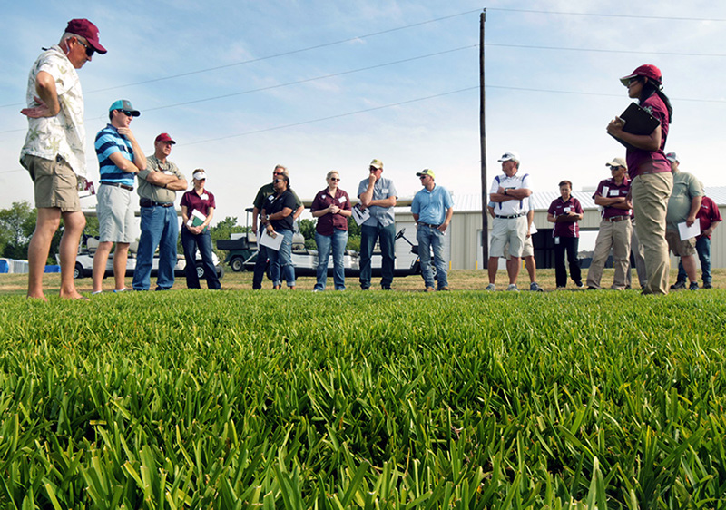 A bug's eye view of a group of people standing in a semi-circle on a patch of healthy turfgrass sod