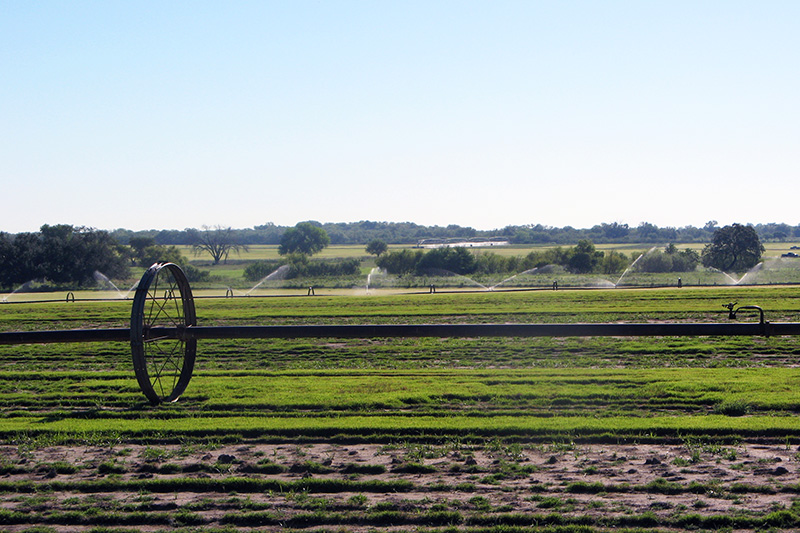 wide shot of a sod farm with irrigation running