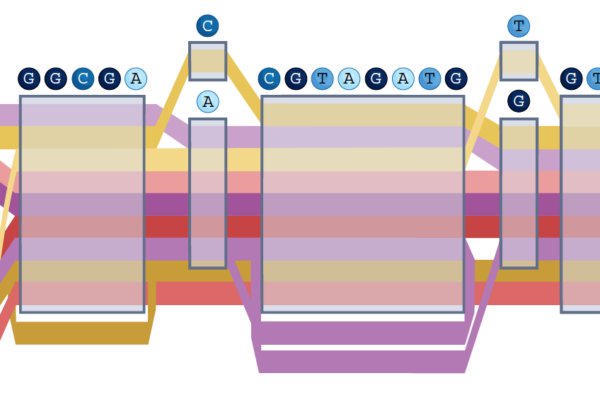 Genome illustration